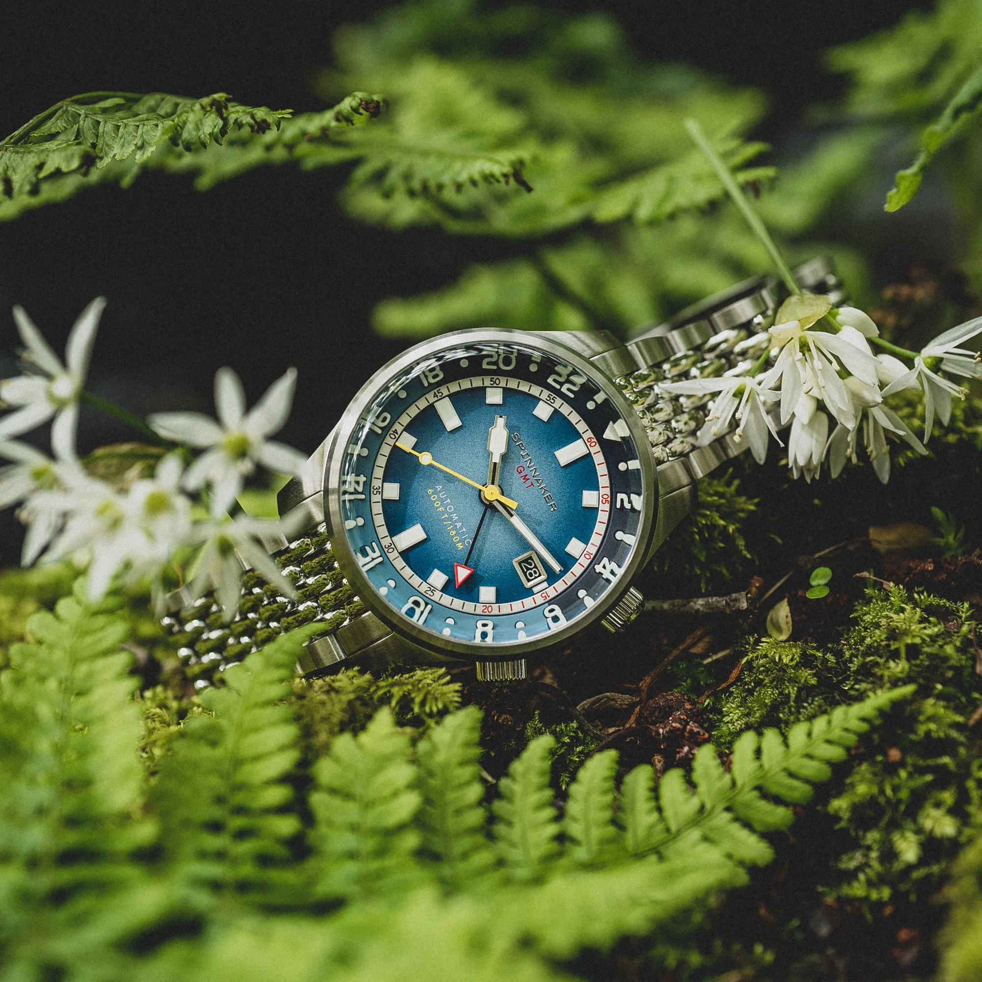 Blue Alps - Image 13