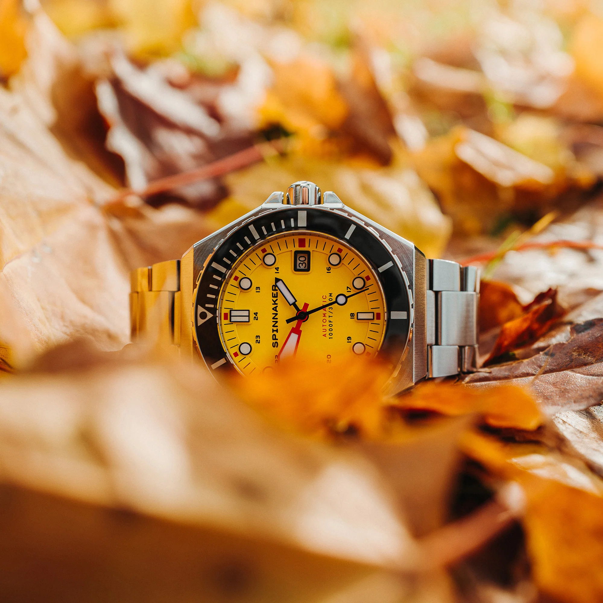 Hornet Yellow - Image 14